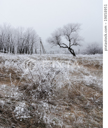 Frosted morning hill V Frosted morning hill V 19858951