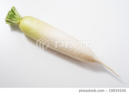 Japanese radish 19859100