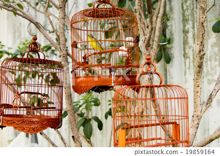 Bird Garden (China - Hong Kong) Bird Garden (China - Hong Kong) 19859164