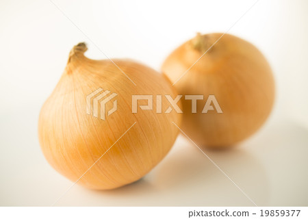 Onion Onion 19859377