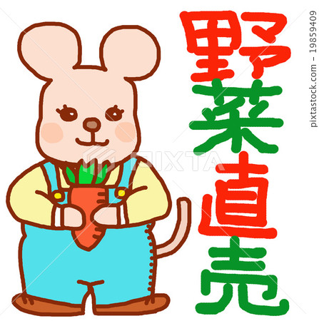 蔬菜直銷鼠 - 坤的特點 19859409