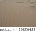 Sand of the South Gobi desert 19859488