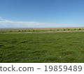 The meadow of the South Gobi desert 19859489