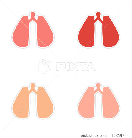 assembly realistic sticker design on paper lungs 19859754