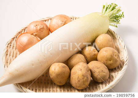 Group photo of radish, onion, potato 19859756