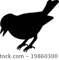 bird vector silhouette 19860300