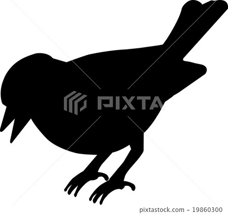 bird vector silhouette bird vector silhouette 19860300