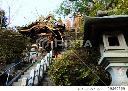 Shibu Onsen Street Extermination Tour Bathing Outdoor Cruise (Shibuya Oshima Fulfillment Fulfillment) 19860569