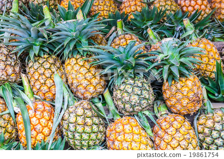 lots off ananas 19861754