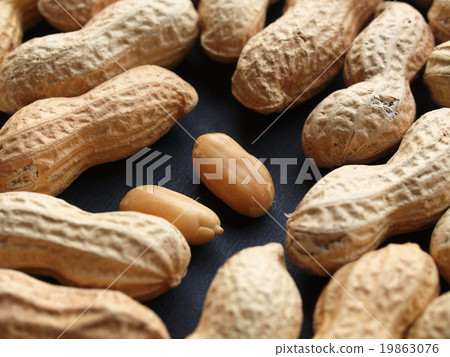 Peanut picture Peanut picture 19863076