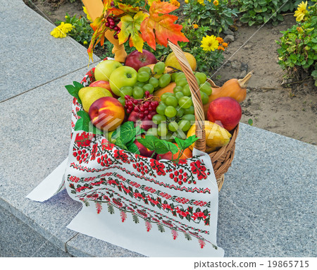 Fruit basket 19865715