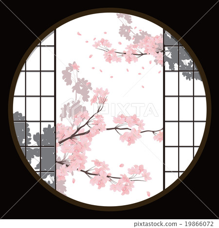 Yoshino cherry tree 19866072