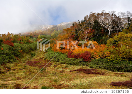 Valley of autumn leaves Valley of autumn leaves 19867166