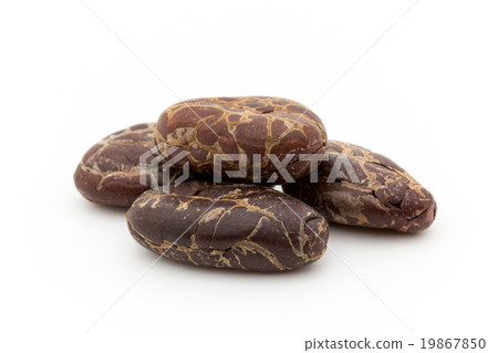 Cacao Beans: Cacao Beans (Cocoa Beans) 19867850