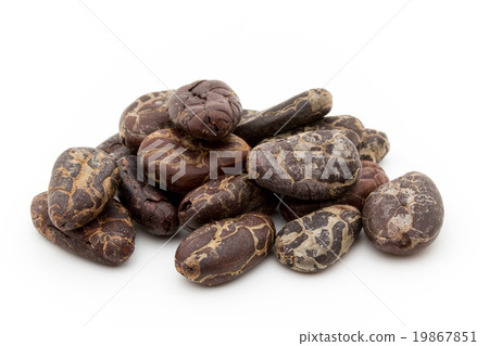Cacao Beans: Cacao Beans (Cocoa Beans) 19867851