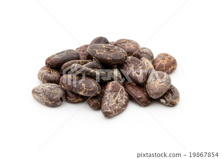 Cacao Beans: Cacao Beans (Cocoa Beans) 19867854