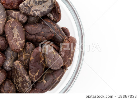 Cacao Beans: Cacao Beans (Cocoa Beans) 19867858