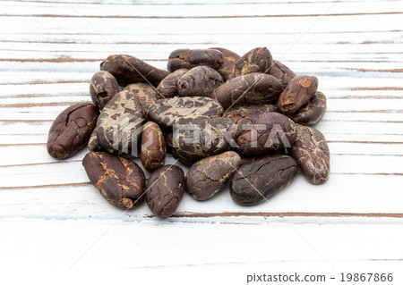 Cacao Beans: Cacao Beans (Cocoa Beans) 19867866
