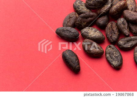 Cacao Beans: Cacao Beans (Cocoa Beans) 19867868