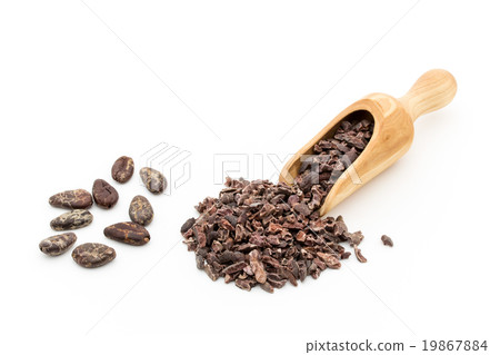 Cacao Beans and Cacao Nibs: Cacao Beans & Nibs (Cocoa Beans) Cacao Beans and Cacao Nibs: Cacao Beans & Nibs (Cocoa Beans) 19867884