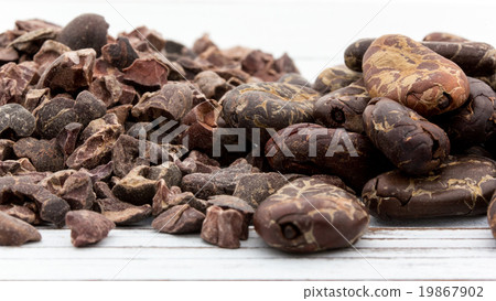 Cacao Beans and Cacao Nibs: Cacao Beans & Nibs (Cocoa Beans) Cacao Beans and Cacao Nibs: Cacao Beans & Nibs (Cocoa Beans) 19867902
