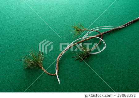 Japanese style 19868358