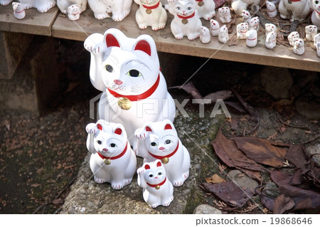 Gotokuji 19868646
