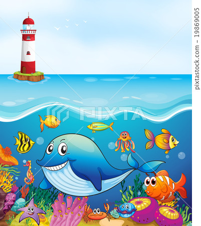 Sea animals swimming under the ocean Sea animals swimming under the ocean 19869005