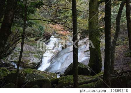 秋天滑谷 19869248