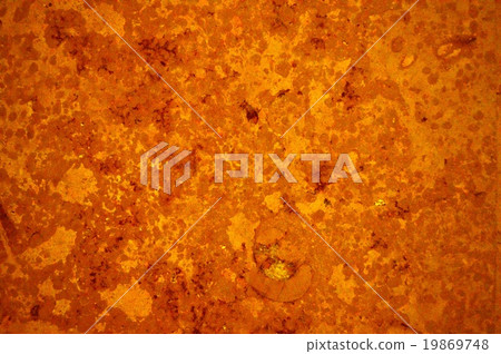 大理石和菊石 大理石和菊石 19869748