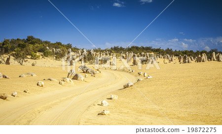 pinnacles 19872275