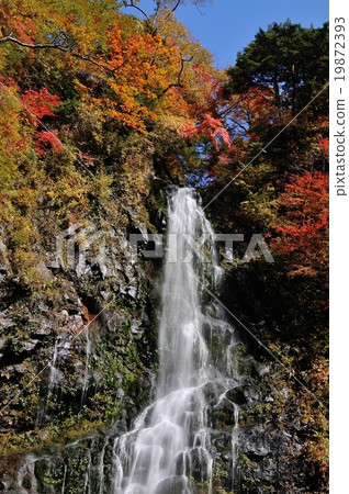 牧田和秋葉 19872393