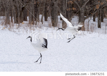 Dandoral起重機 Dandoral起重機 19873231