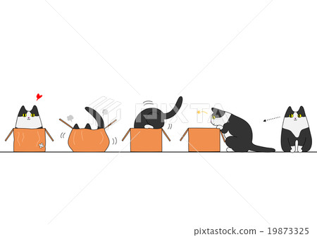 貓進入盒子 貓進入盒子 19873325