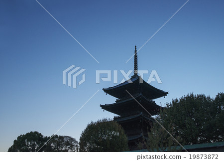 京都Toji寺廟晚上視圖京都圖像京都觀光 19873872