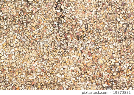 Conglomerate variety puddingstone 19873881