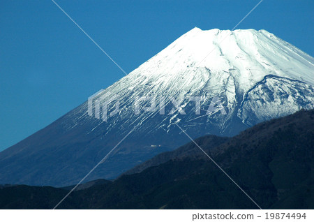 檸檬峰'Fugaku'02 19874494