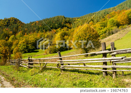 Autmn beautiful landscape 19874763