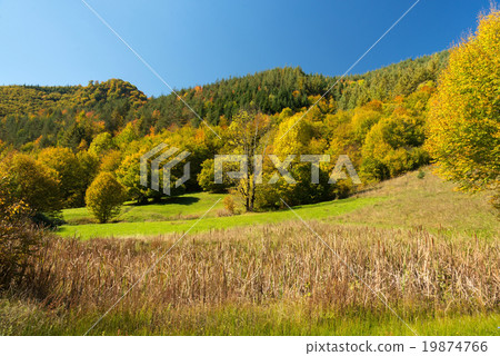 Autmn beautiful landscape Autmn beautiful landscape 19874766