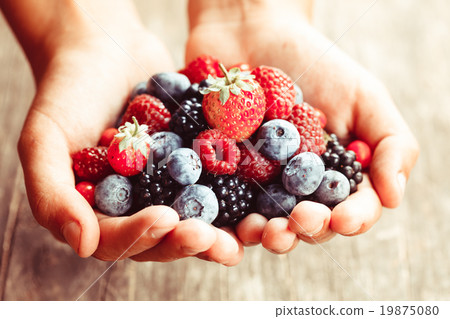 Berries in hands Berries in hands 19875080