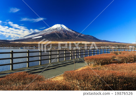 富士山 19876526