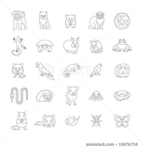 Animals pets vector flat thin line icons set - Stock Illustration ...