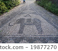 Symbol of Catania 19877270