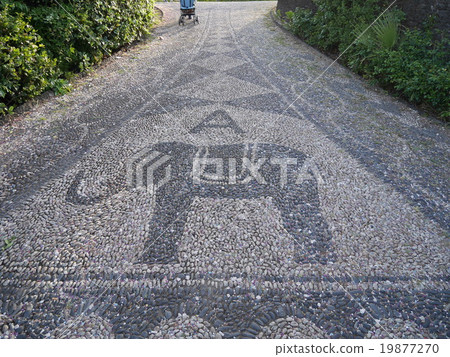 Symbol of Catania Symbol of Catania 19877270