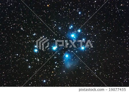 Subaru Subaru 19877435