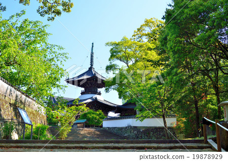 Kii高山寺 Kii高山寺 19878929
