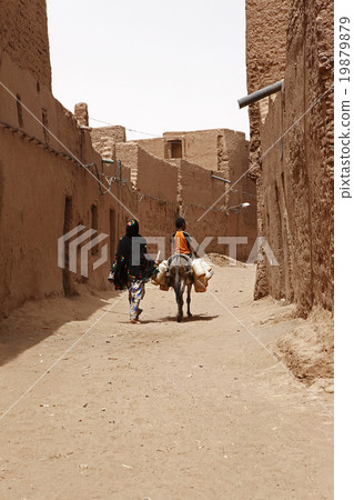 Desert inhabitants with donkeys 19879879