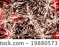 Grunge colorful background 19880573