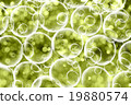 Grunge colorful background 19880574