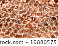 Grunge colorful background 19880575